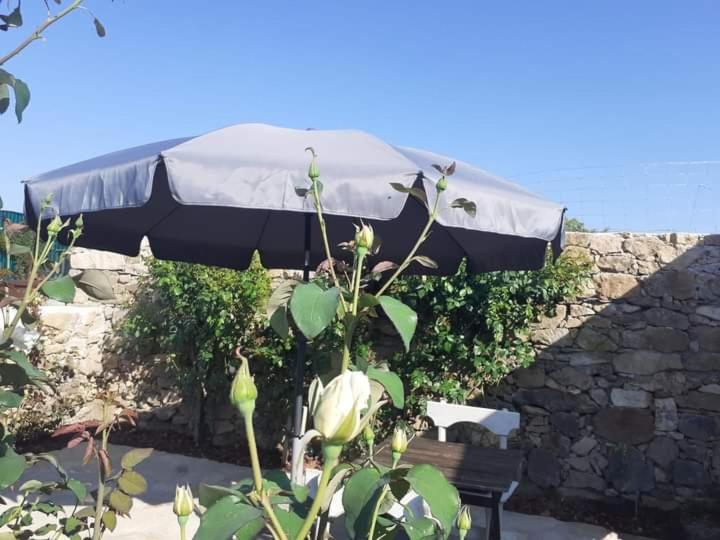 Casa do Terreto & Casa do Forno 5