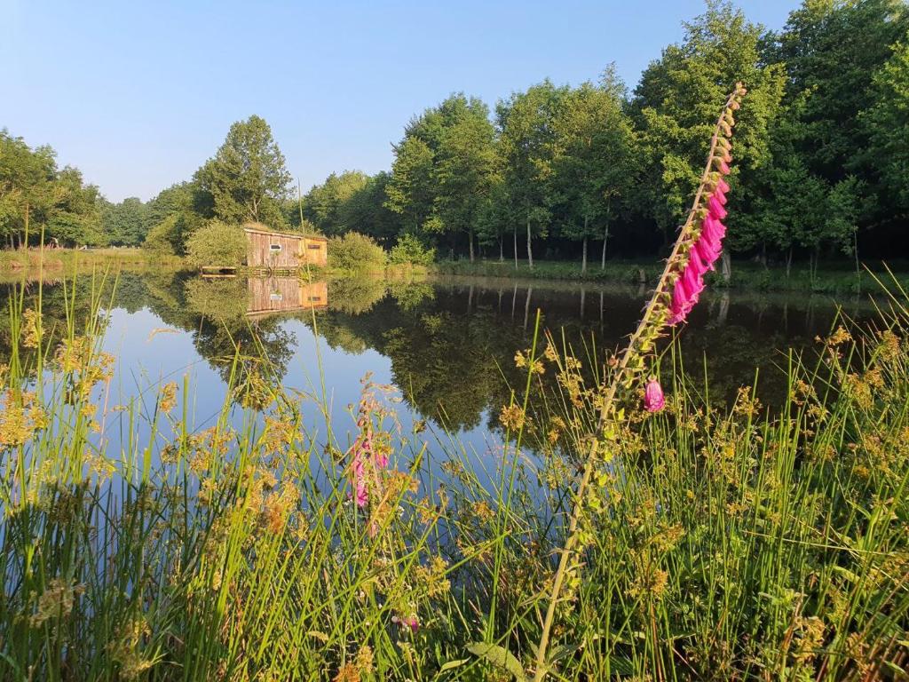 Photo de la galerie de l'établissement Cabane en bois sur l'étang, à Landisacq