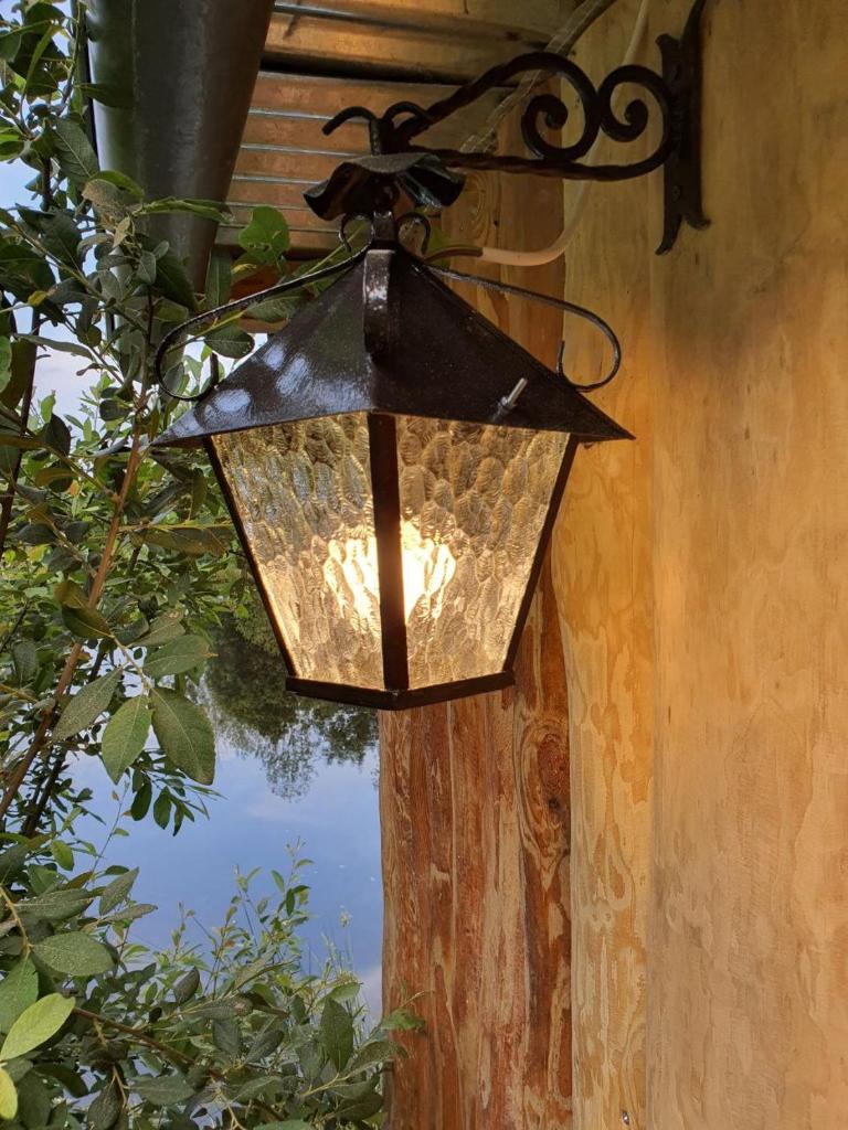 Photo de la galerie de l'établissement Cabane en bois sur l'étang, à Landisacq