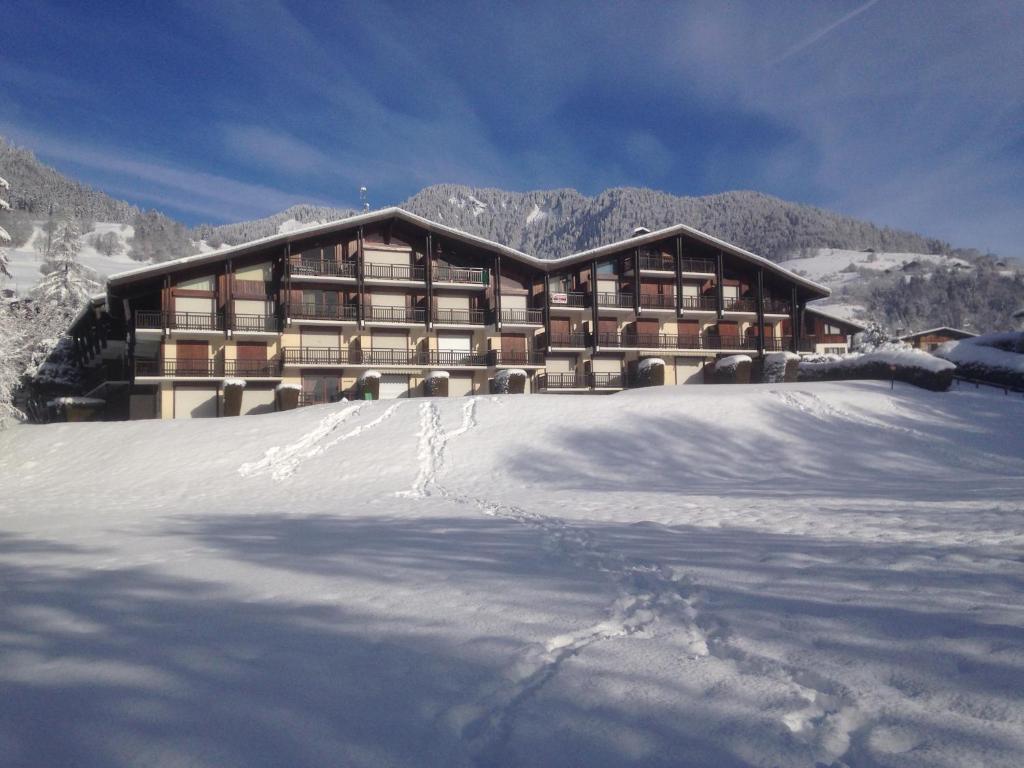 un lodge dans la neige en face d'une montagne dans l'établissement Studio Clos des Meurets, à Praz-sur-Arly