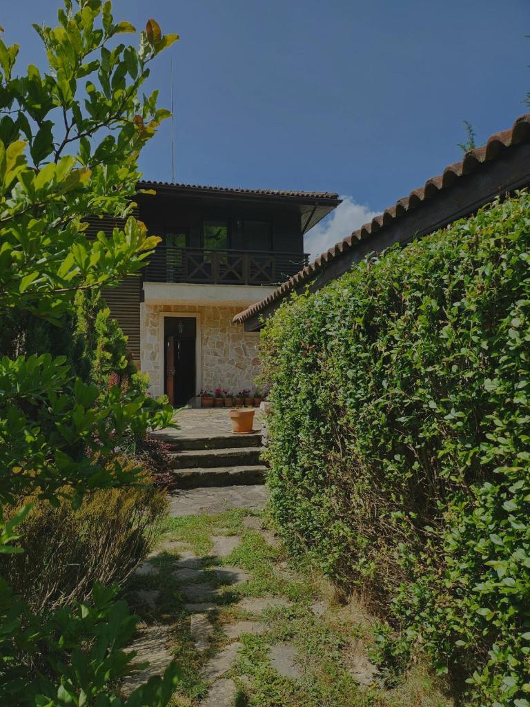 Eco Residence 1