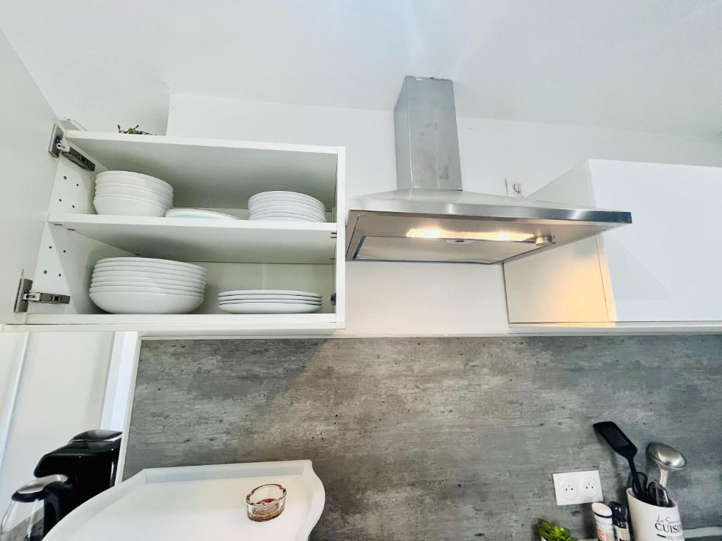 SUPERBE DUPLEX DESIGN NEUF 2 CHAMBRES, CLIMATISE TOUT CONFORT, FACILE D,ACCES STATIONNEMENT GRATUIT 8