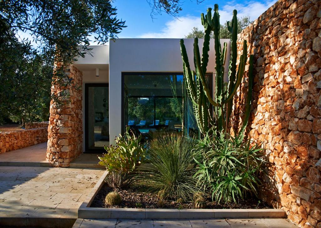 une maison avec un cactus à côté d'un mur de pierre dans l'établissement Bosco degli Ulivi, à Morciano di Leuca