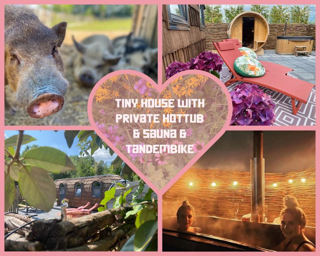 Bed & Wellness Pigs and Pillows with private hottub and sauna and tandembike rental included in price near Amsterdam 8