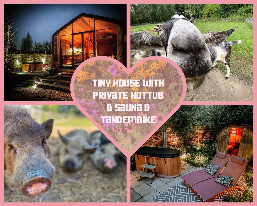 Bed & Wellness Pigs and Pillows with private hottub and sauna and tandembike rental included in price near Amsterdam 7