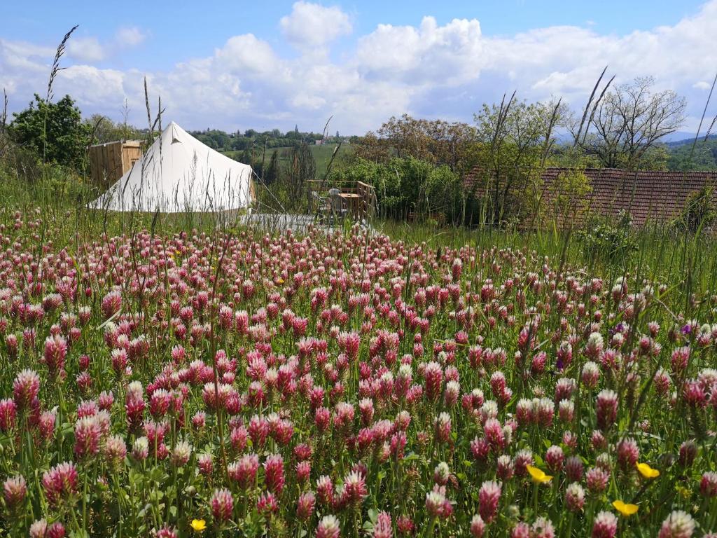 Photo de la galerie de l'établissement Sous les Toiles de PauTiLou, à Molles