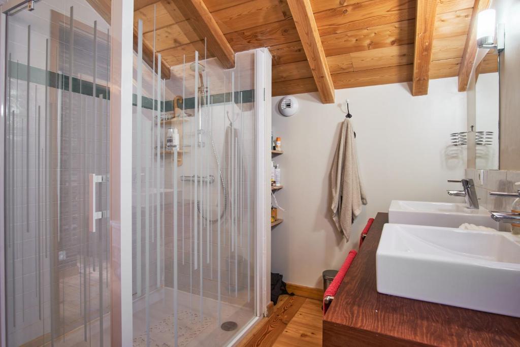 une salle de bain avec douche et lavabo dans l'établissement Chalet Le Grand Cerf, à Saint-Étienne-en-Dévoluy