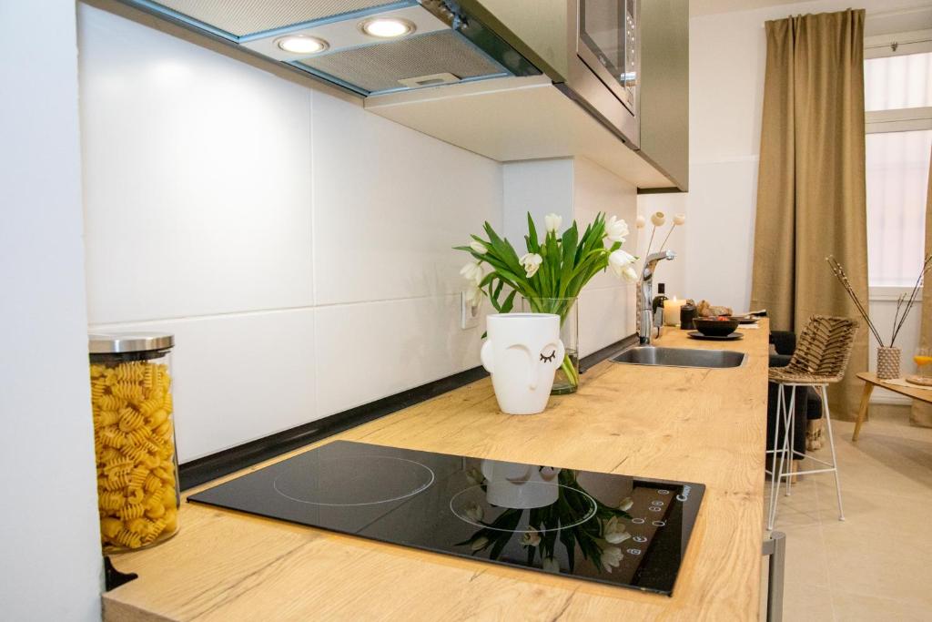 Apartamentos La Tahona Cádiz Centro 6