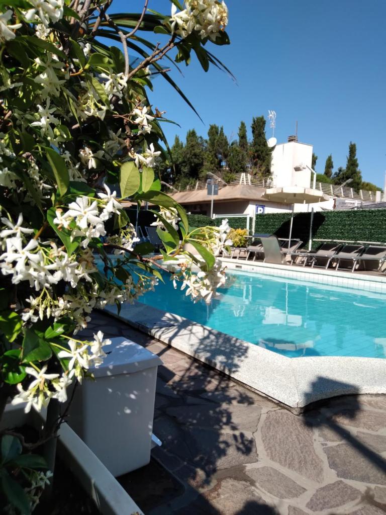 - une piscine avec des fleurs blanches dans une cour dans l'établissement Hotel Poker, à Riccione