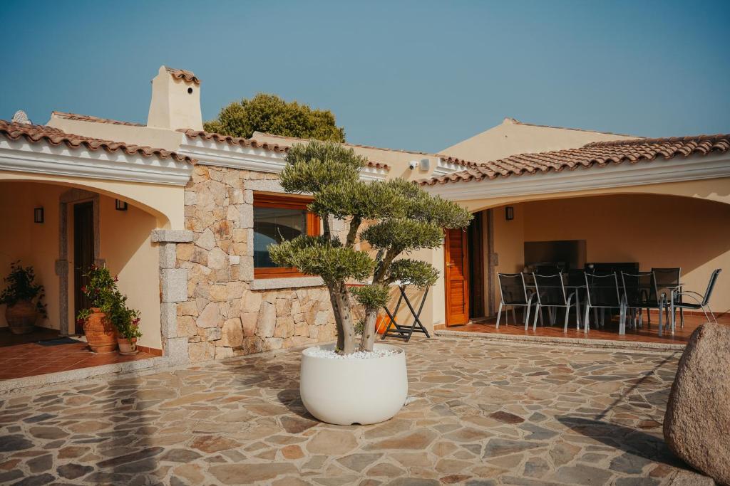 un pot dans un pot sur une terrasse dans l'établissement Villa Alba Sul Mare, à Budoni