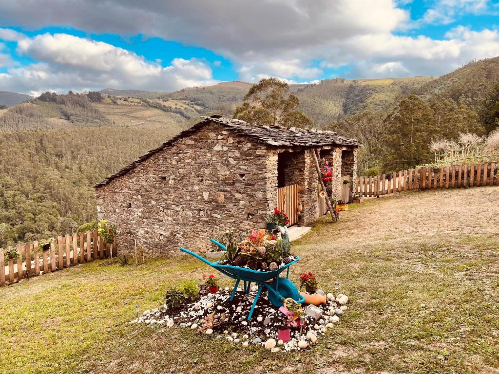 Casa Neto Goje 6