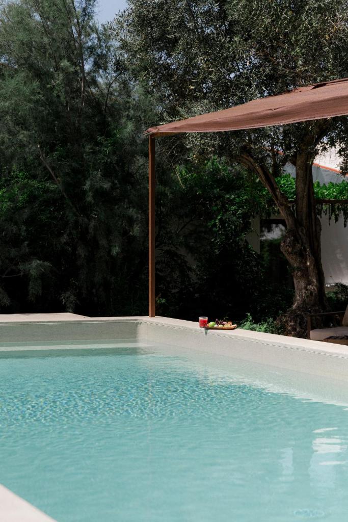 São Brás do Regedouro - Turismo na Aldeia 8