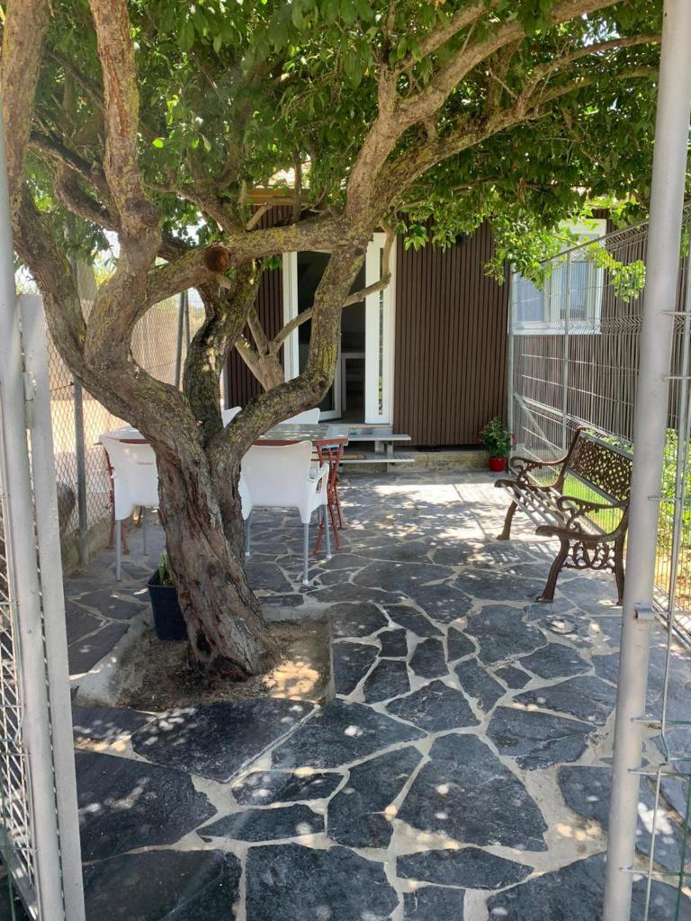 Casa ILEANA 8