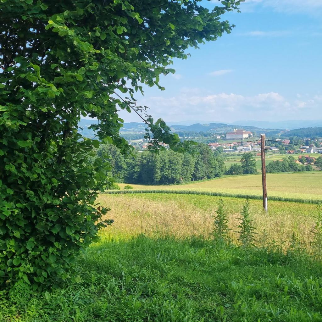 Kuscheliges Blockhaus in Alleinlage mit Traumaussicht 4