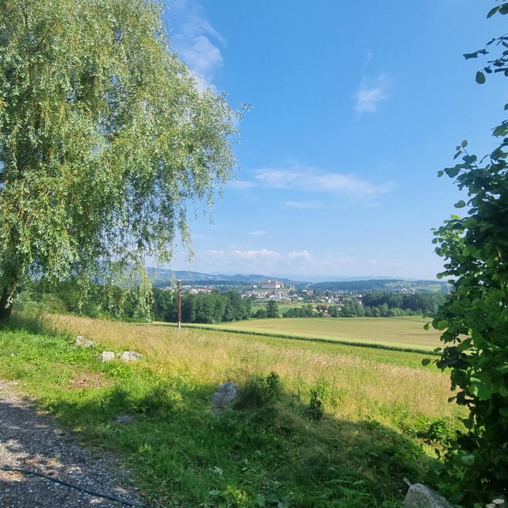 Kuscheliges Blockhaus in Alleinlage mit Traumaussicht 3