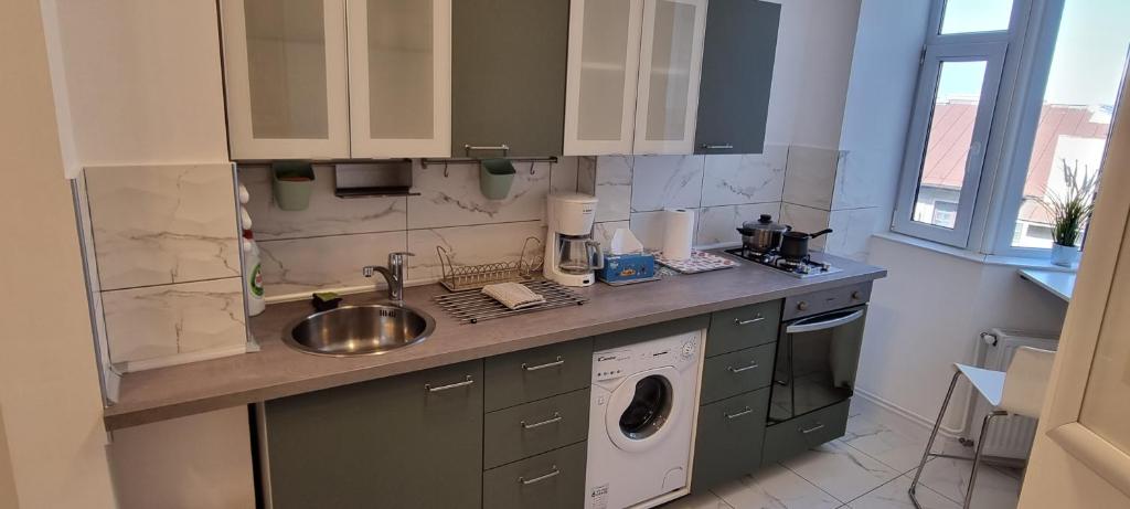 Elisabeta Studio Apartment 7