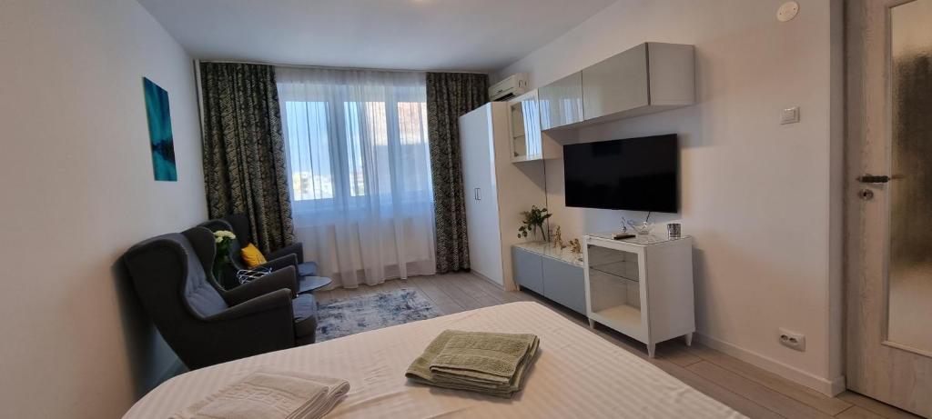 Elisabeta Studio Apartment 2