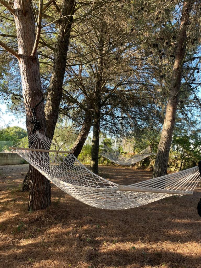 un hamac suspendu entre deux arbres dans un parc dans l'établissement Trullo Trullallero, à Martina Franca