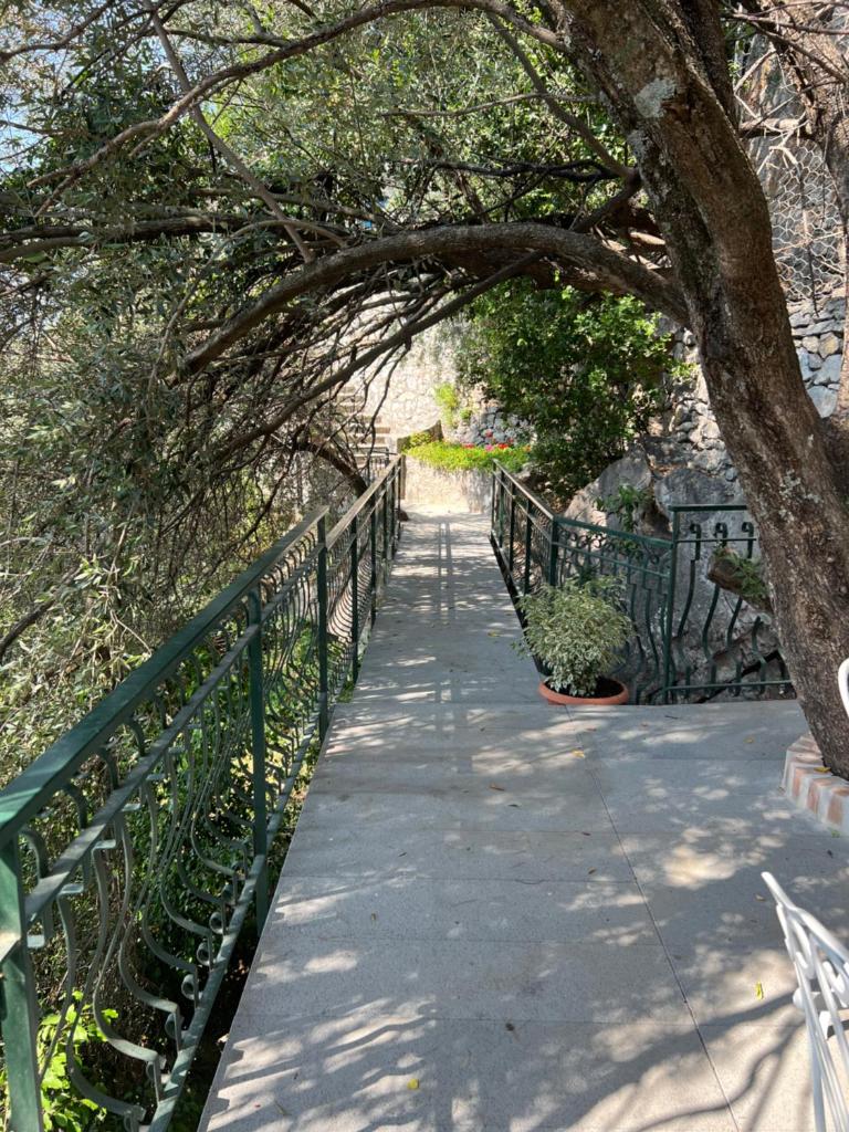 Luxury Villas Positano 7