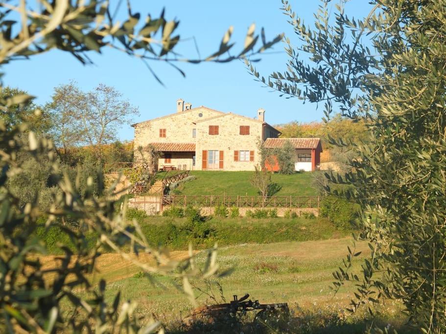 Casale L'Upupa 1