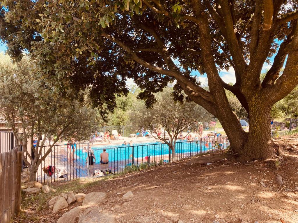 un arbre à côté d'une piscine avec un groupe de personnes dans l'établissement Lodges du Ushuaïa Villages Camping les 4 Saisons, à Grane