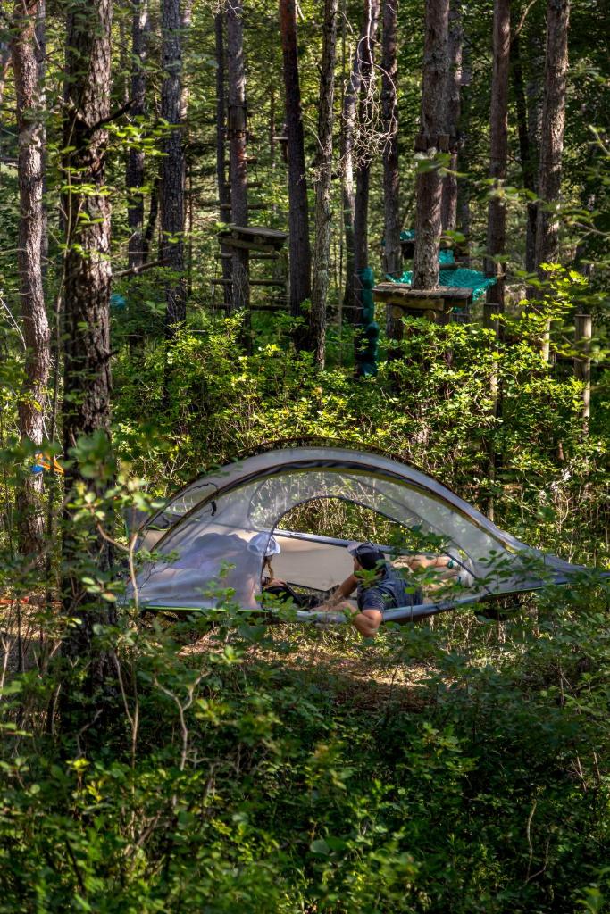 une tente installée au milieu d'une forêt dans l'établissement Adventure Forest, à Castellane