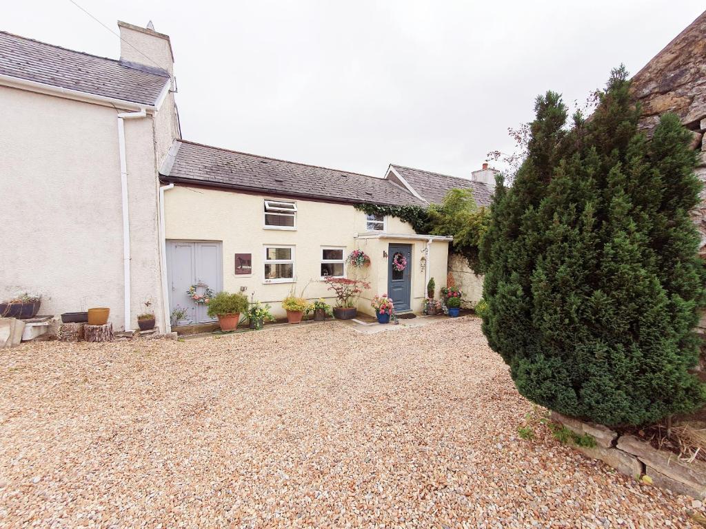 Cute Quirky Cottage 6
