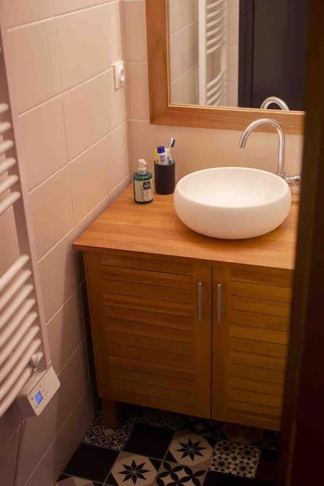une salle de bain avec un lavabo et un miroir dans l'établissement Studio Cocon aux Orres 1650 au pied des pistes et vue montagne, aux Orres