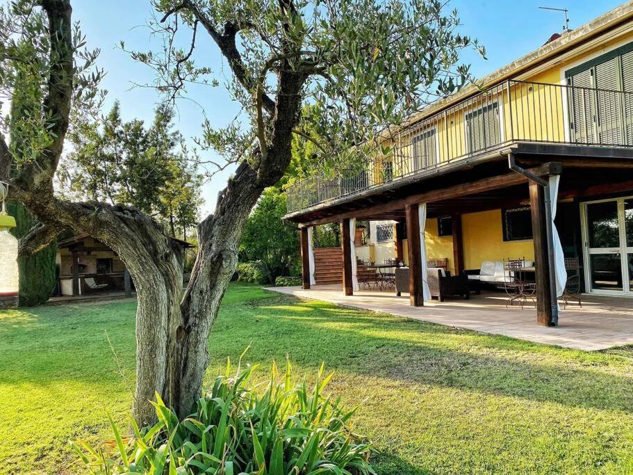 une maison avec un arbre dans la cour dans l'établissement Poggio in fiore, à Poggio Catino