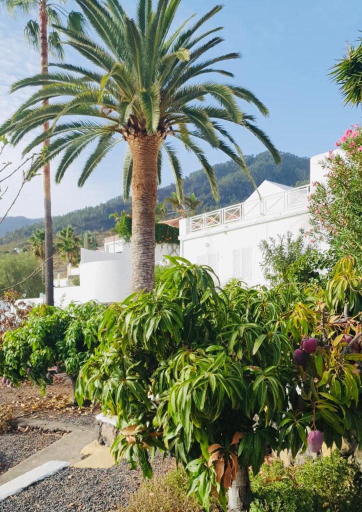 Rural Jardines la Quinta 6