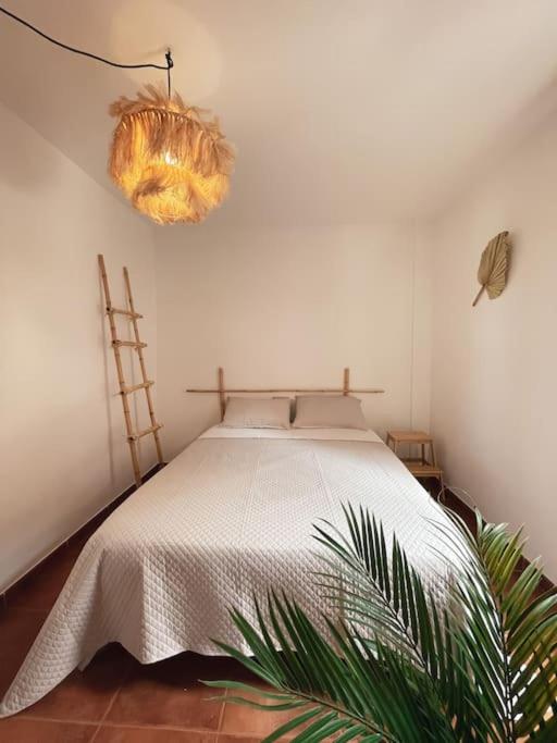 Big Spacious Casa Bamboo Apartment Corralejo Relax, Pool and Parking 6
