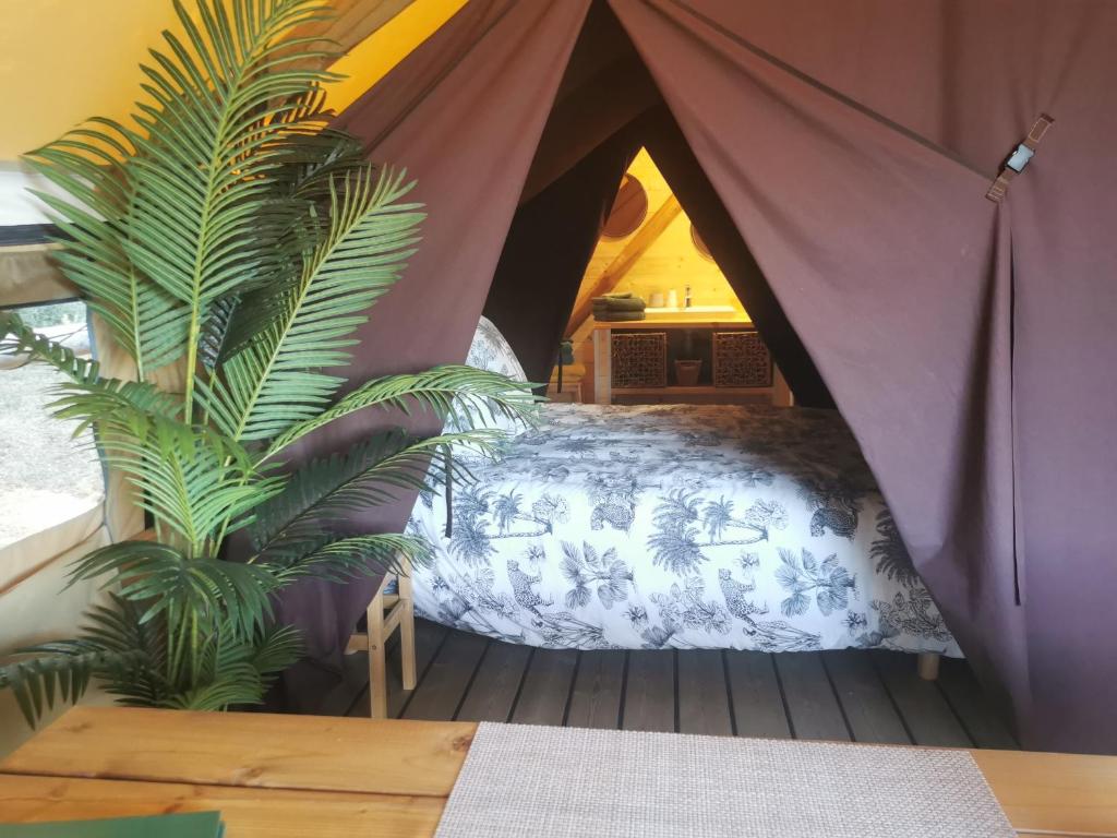 - une chambre avec un lit dans une tente avec une plante dans l'établissement Le lodge cocooning, à Ansignan