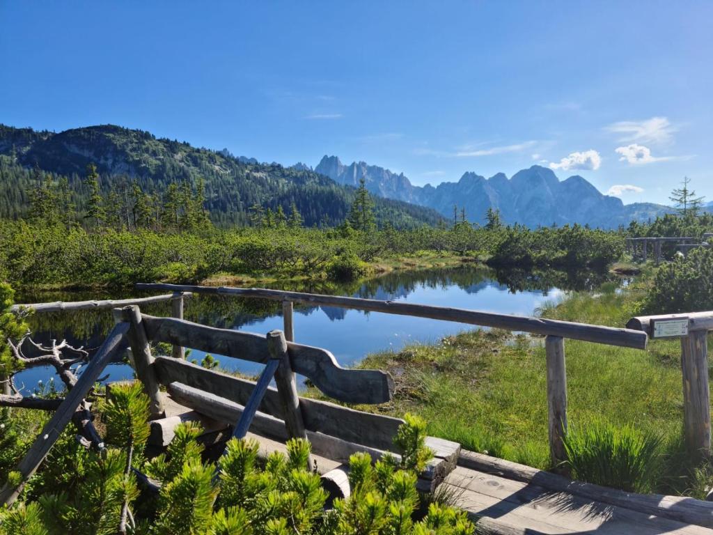 Dangos Mountainview Gosau 8