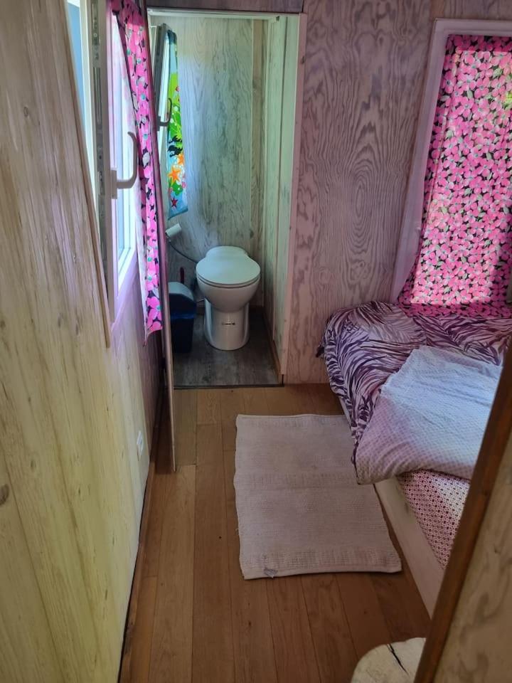 Cette petite chambre comprend des toilettes, un lit et une salle de bains. dans l'établissement Au fils de l'eau, à Strasbourg