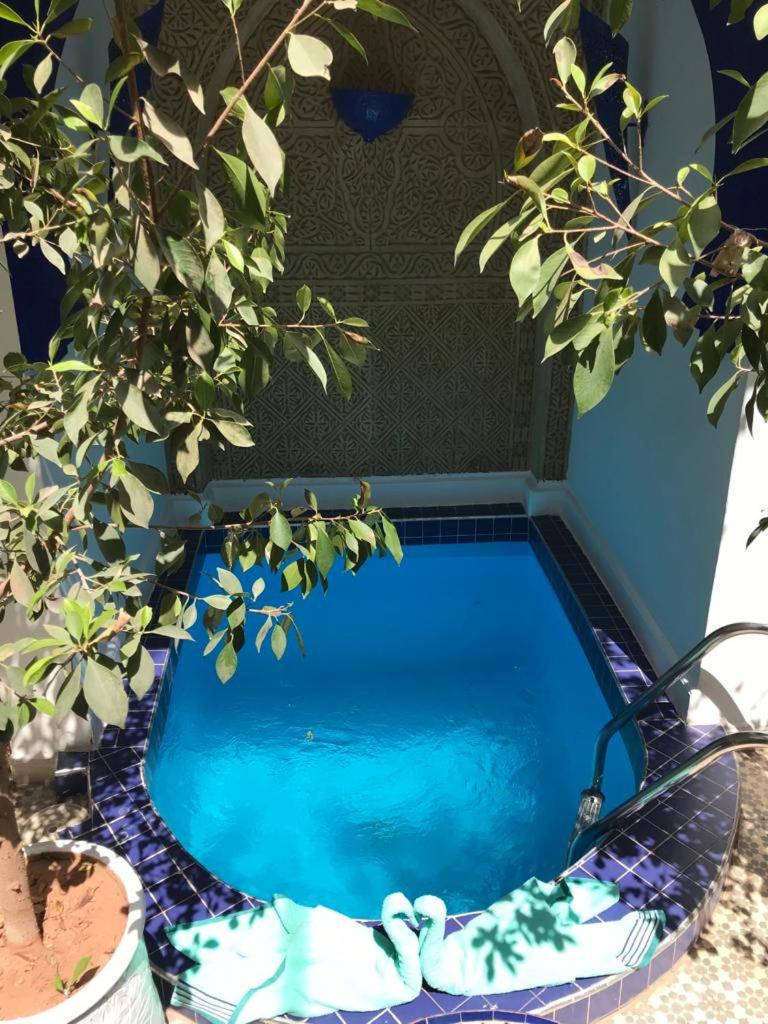- une piscine avec un arbre à côté dans l'établissement Riad Bab Lakhmiss, à Marrakech