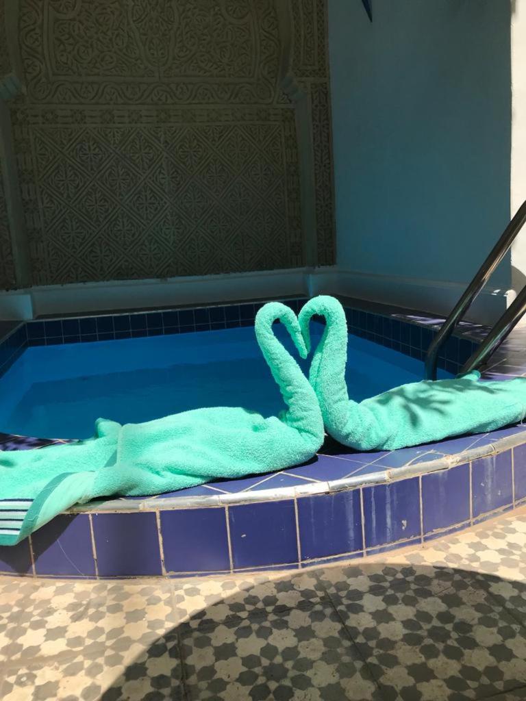 deux cygnes assis au bord d'une piscine dans l'établissement Riad Bab Lakhmiss, à Marrakech