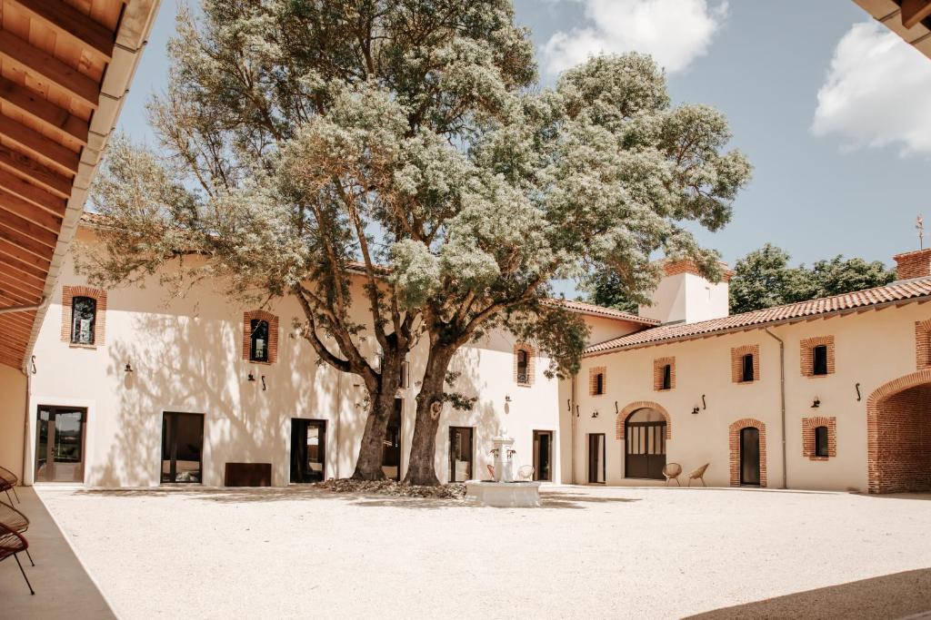 Château de la Busquette - 8