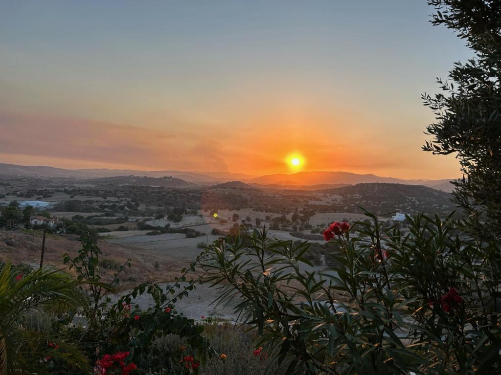 Endless Sunset 8