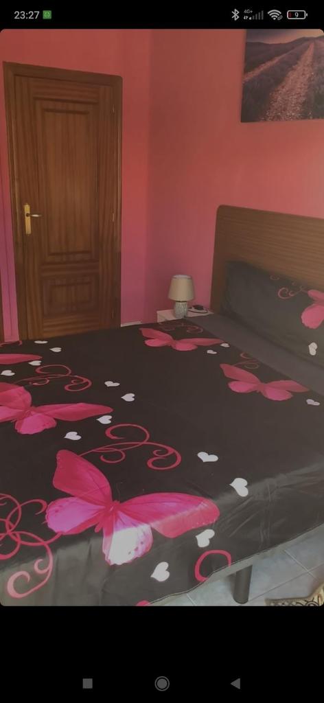 CASA MORENO VUT 8