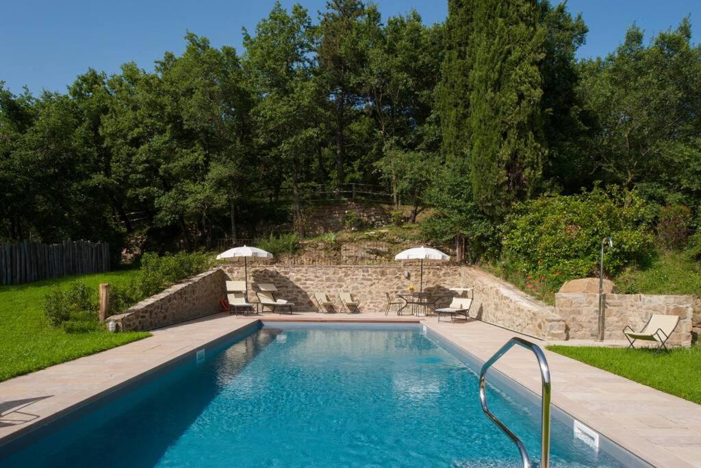 - une piscine avec 2 chaises longues et des parasols dans l'établissement Villa Leopoldina - Pomaio Wines & Hospitality, à Arezzo 16 autres photos