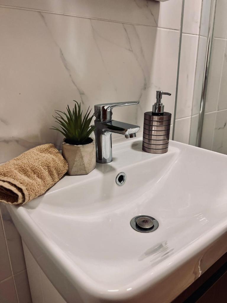 Dani Lux Belgrade Center Studio Apartment 7