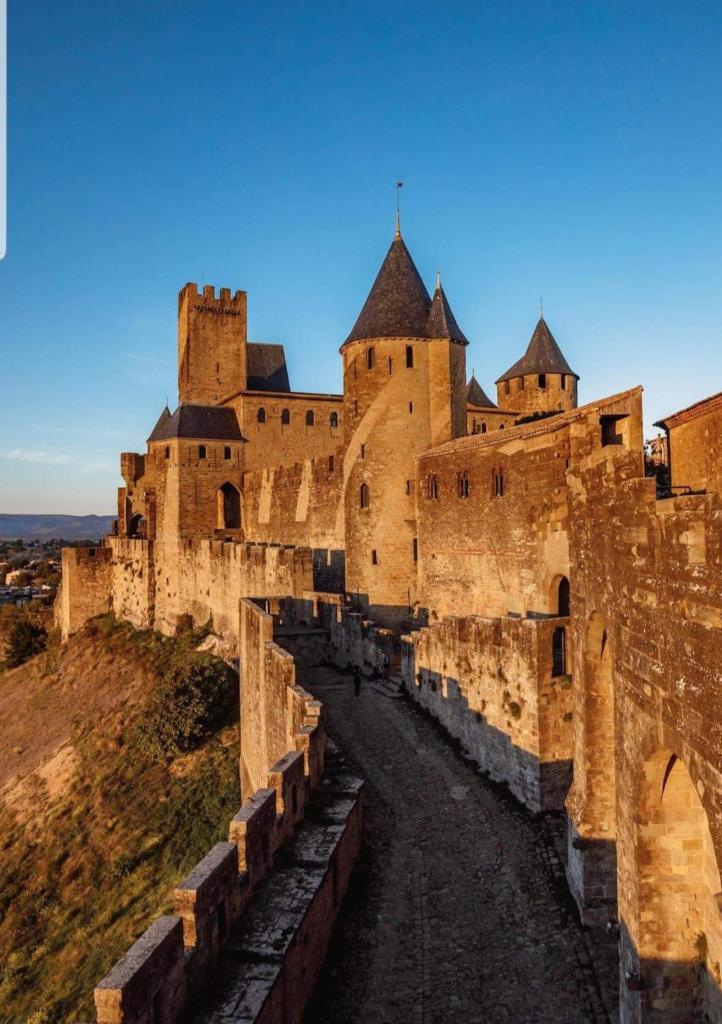 un grand château au sommet d'une colline dans l'établissement Gîte avec Piscine Proche de Carcassonne, à Couffoulens