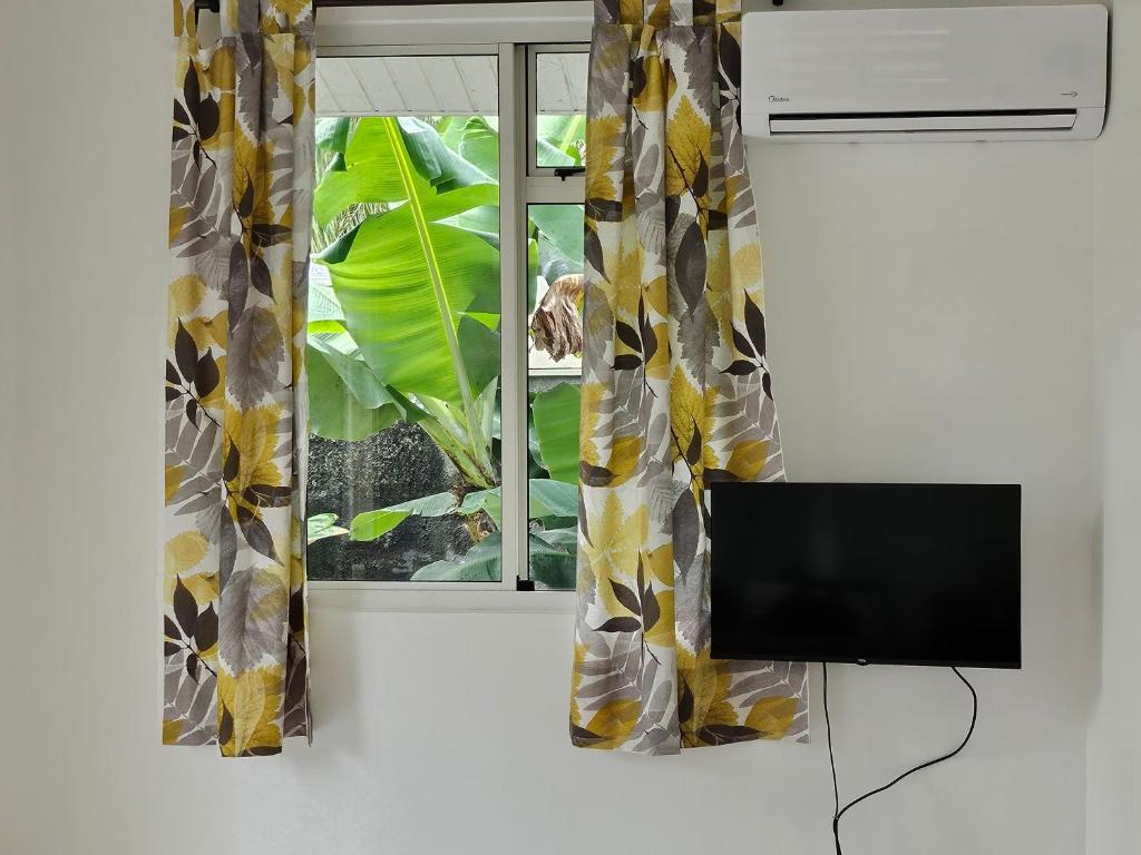 Puna Home 5