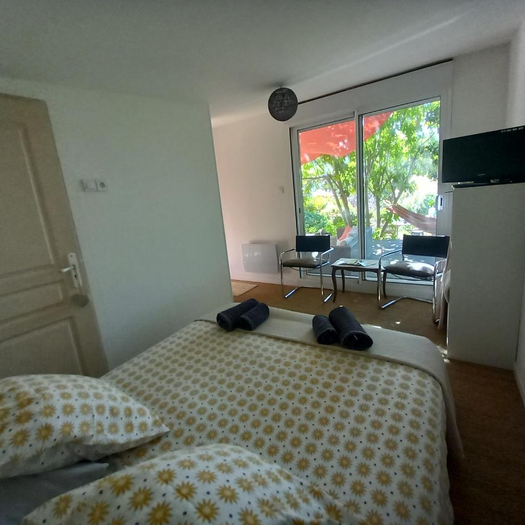 Le jardin de Sabine 5