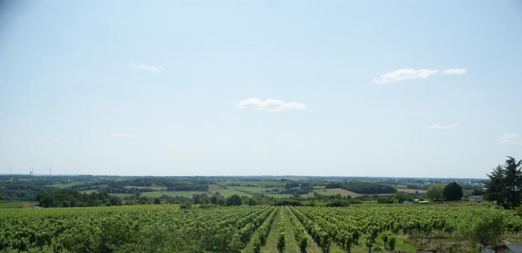 Domaine des Ortinieres 3