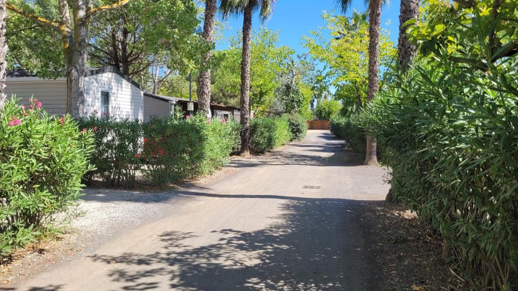une allée bordée d'arbres avec une maison et des palmiers dans l'établissement Camping les Salisses - Vias Plage - Mobilhome, à Vias