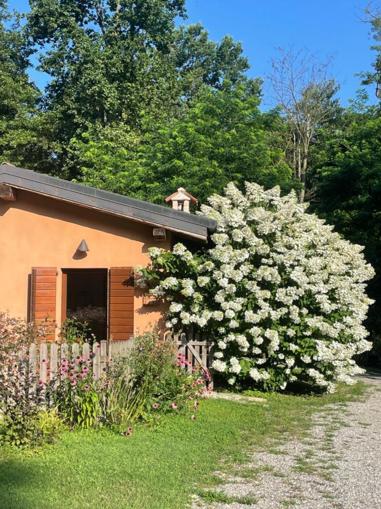 Casetta dei lagoni 8
