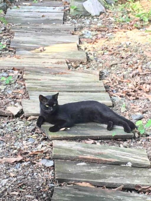 Chez Phuong- Studios Cat Ba