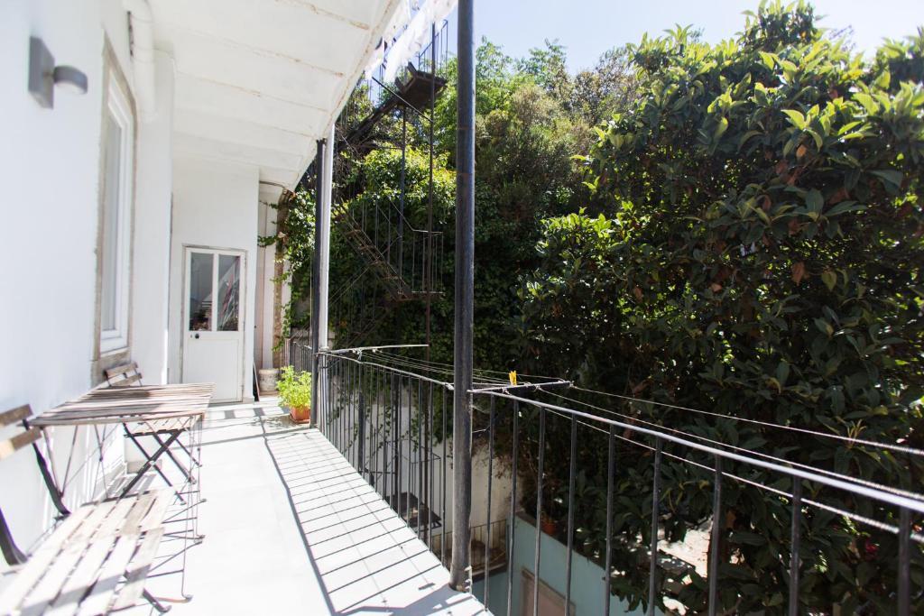 Apartments of the Marques 5
