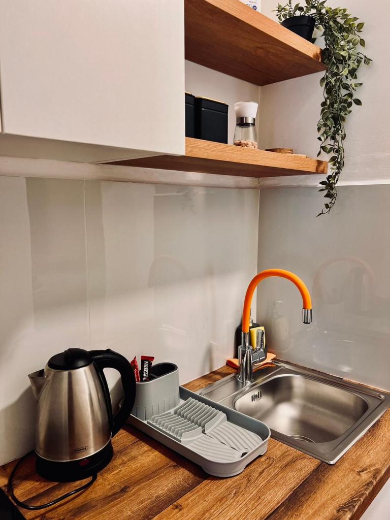 Stefan Suite Belgrade Center Apartment 3